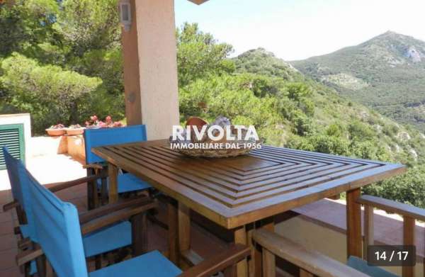 Foto Appartamento in affitto a Monte Argentario