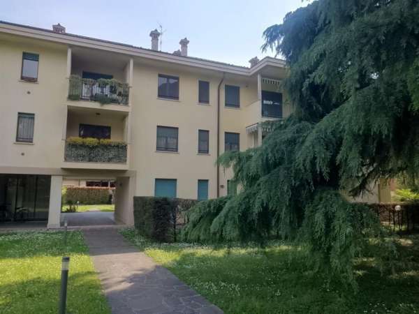 Foto Appartamento in affitto a Monza
