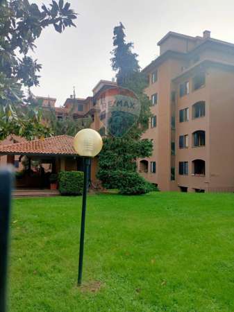Foto Appartamento in affitto a Monza