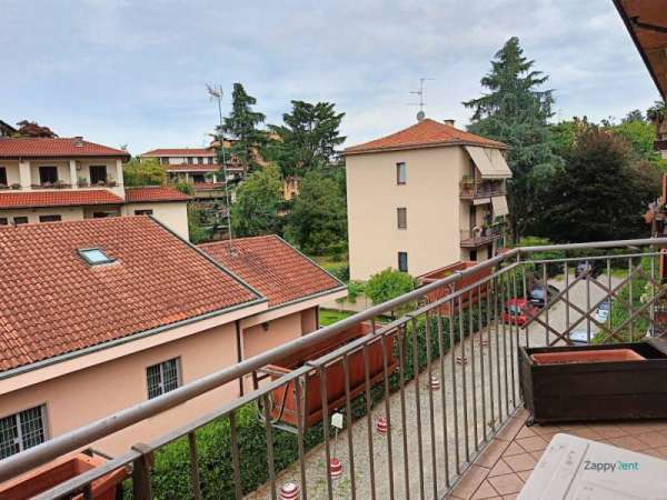 Foto Appartamento in Affitto a Monza
