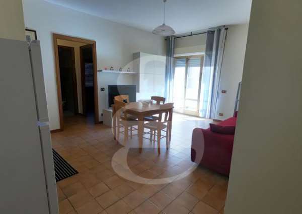 Foto Appartamento in affitto a Nettuno - 2 locali 50mq