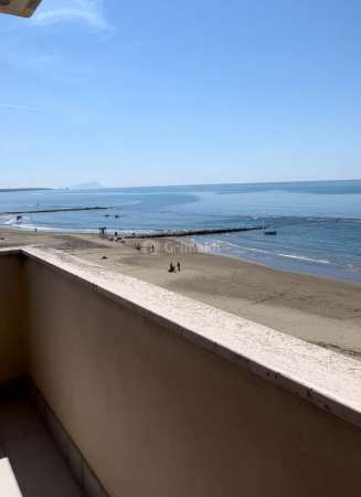 Foto Appartamento in affitto a Nettuno