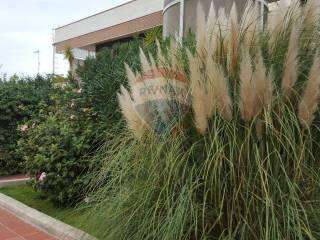 Foto Appartamento in affitto a Noicattaro