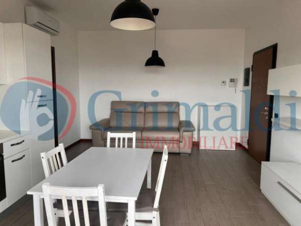 Foto Appartamento in affitto a Opera - 1 locale 42mq