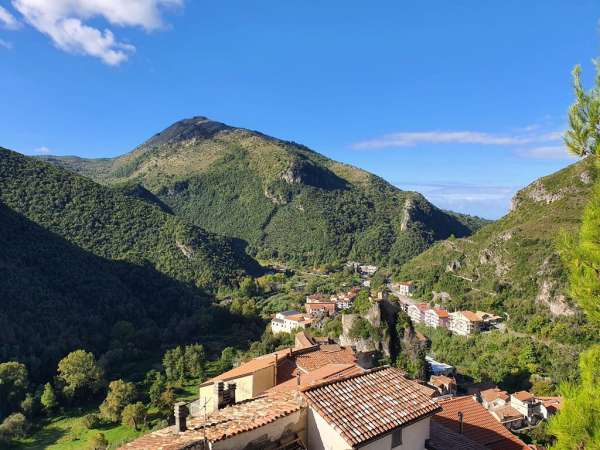 Foto Appartamento in affitto a Orsomarso