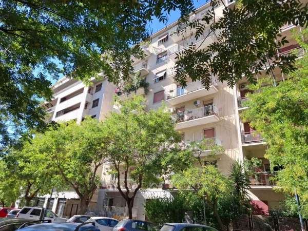 Foto Appartamento in affitto a Palermo