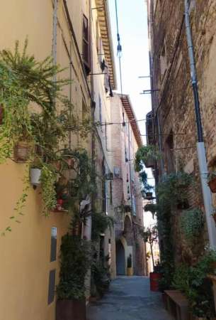 Foto Appartamento in affitto a Perugia