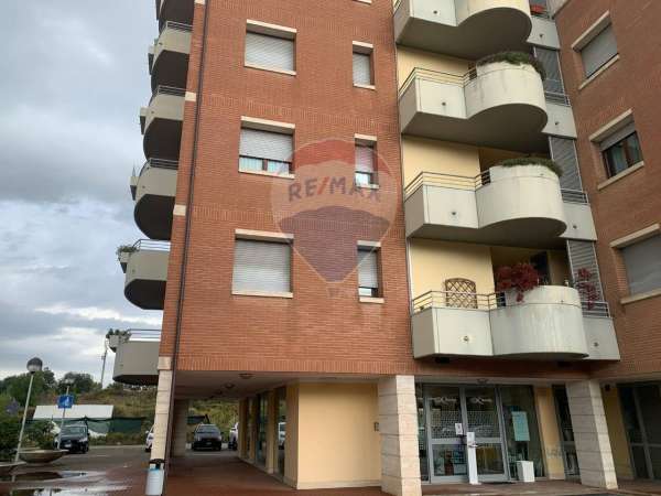 Foto Appartamento in affitto a Perugia