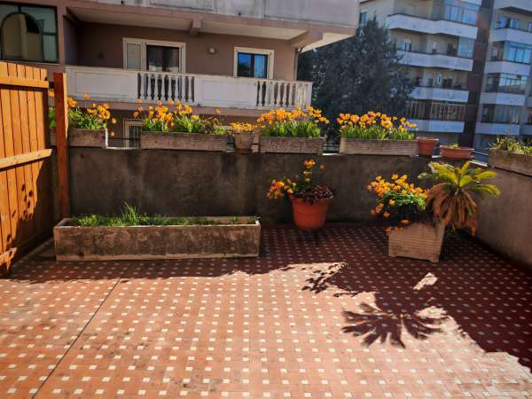 Foto Appartamento in affitto a Pescara