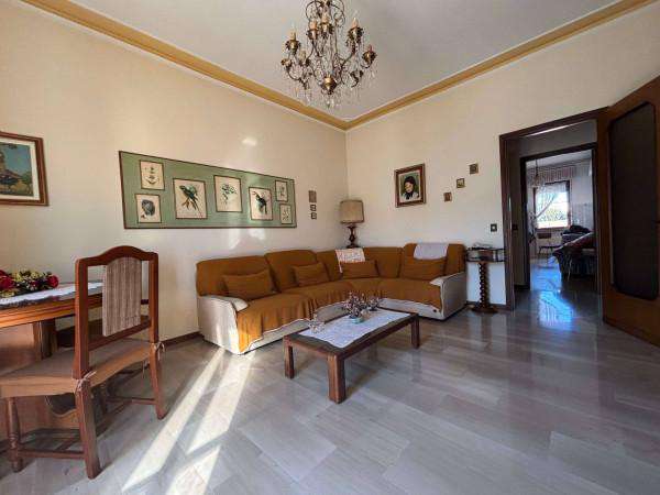 Foto Appartamento in affitto a Piacenza