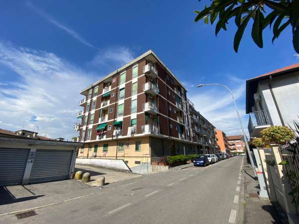 Foto Appartamento in affitto a Pioltello
