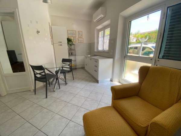 Foto Appartamento in affitto a Pisa 29 mq  Rif: 1203606