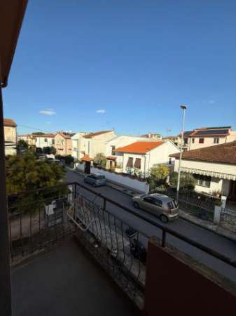 Foto Appartamento in affitto a Pisa 30 mq  Rif: 1388536