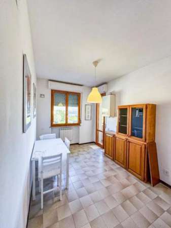 Foto Appartamento in affitto a Pisa 35 mq  Rif: 1312463