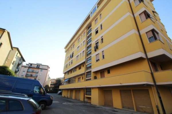 Foto Appartamento in affitto a Pisa 38 mq  Rif: 1385158