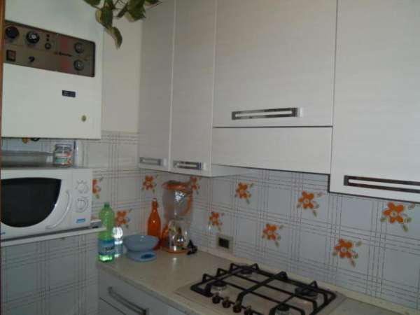 Foto Appartamento in affitto a Pisa 45 mq  Rif: 1331219