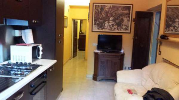 Foto Appartamento in affitto a Pisa 45 mq  Rif: 1391005