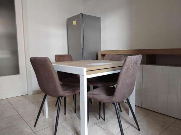 Foto Appartamento in affitto a Pisa 50 mq  Rif: 1326530