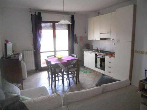 Foto Appartamento in affitto a Pisa 50 mq  Rif: 739787
