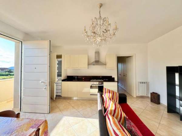 Foto Appartamento in affitto a Ponsacco 75 mq  Rif: 1327106