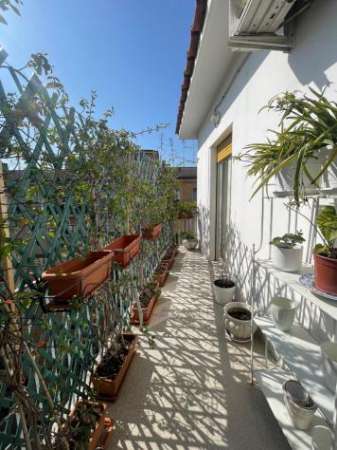 Foto Appartamento in affitto a Roma - 2 locali 64mq