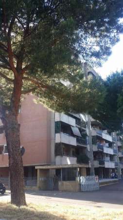 Foto Appartamento in Affitto a Roma via pagoda bianca