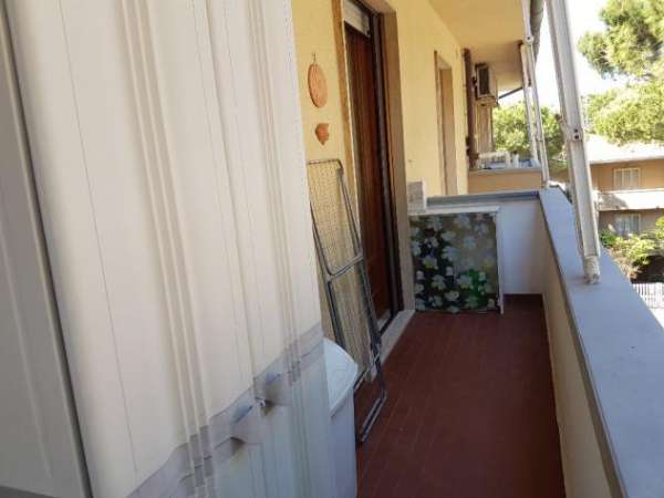 Foto Appartamento in affitto a Rosignano Marittimo 40 mq  Rif: 543630
