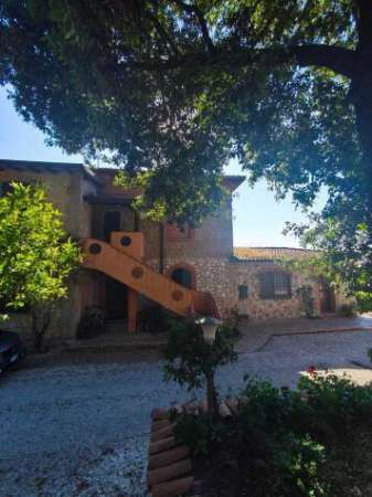 Foto Appartamento in affitto a Sabaudia