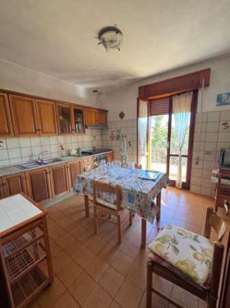 Foto Appartamento in affitto a San Felice Circeo