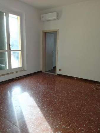 Foto Appartamento in affitto a San Prospero Navacchio - Cascina 100 mq  Rif: 1363659