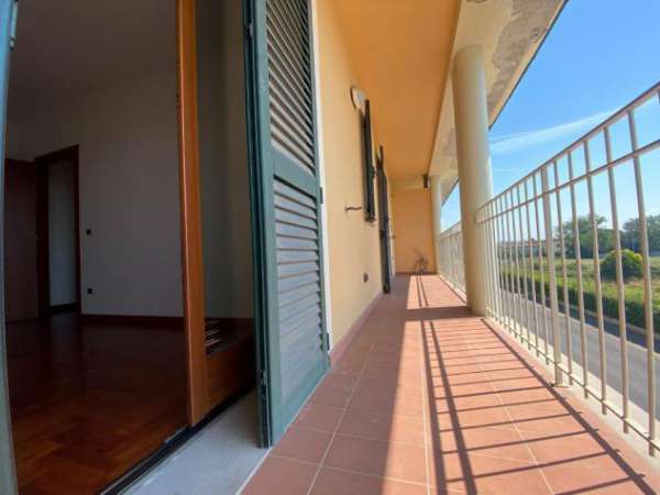 Foto Appartamento in affitto a Santa Croce sull'Arno 45 mq  Rif: 1333474