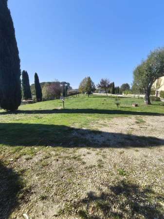 Foto Appartamento in affitto a Scandicci