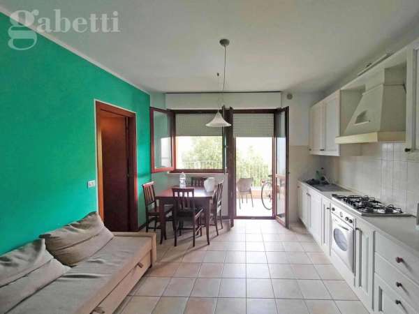 Foto Appartamento in affitto a Senigallia