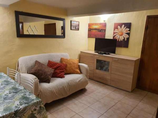 Foto Appartamento in affitto a Siena 70 mq  Rif: 1354360