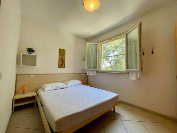 Foto Appartamento in affitto a Tirrenia - Pisa 25 mq  Rif: 387501