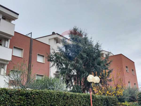 Foto Appartamento in affitto a Torgiano