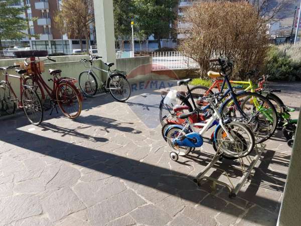 Foto Appartamento in affitto a Trento