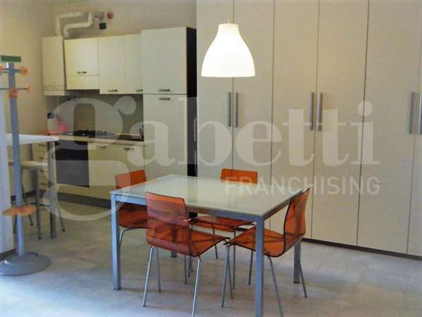 Foto Appartamento in affitto a Turate