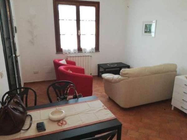 Foto Appartamento in affitto a Val di Cava - Ponsacco 50 mq  Rif: 920011