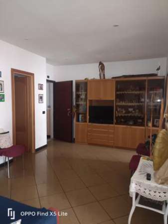 Foto Appartamento in affitto a Varazze, Sant'ambrogio