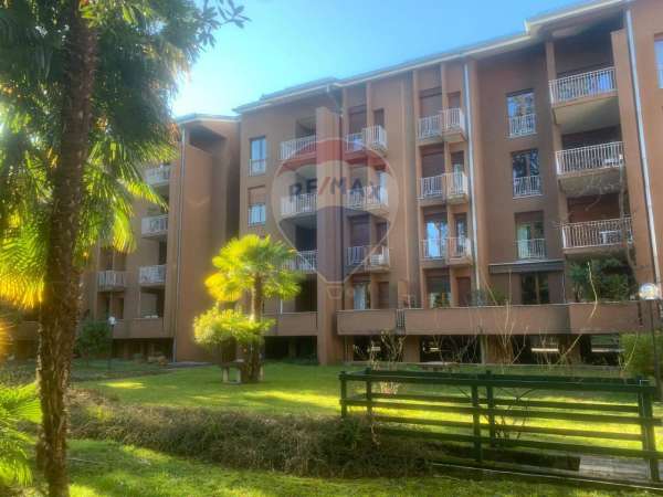 Foto Appartamento in affitto a Varese