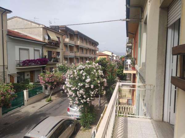 Foto Appartamento in affitto a Viareggio