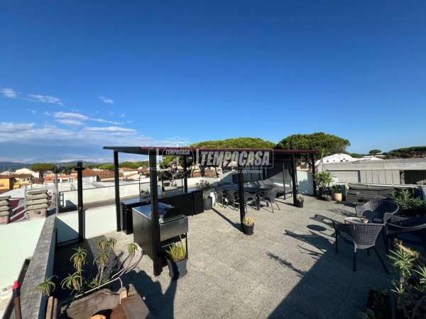 Foto Appartamento in affitto a Viareggio