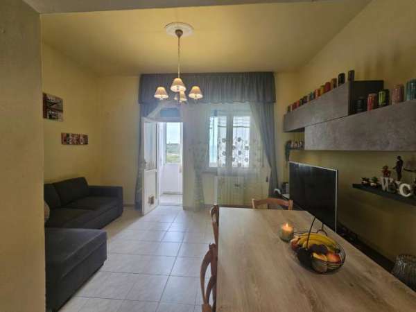 Foto Appartamento in affitto a Vicarello - Collesalvetti 80 mq  Rif: 1128418