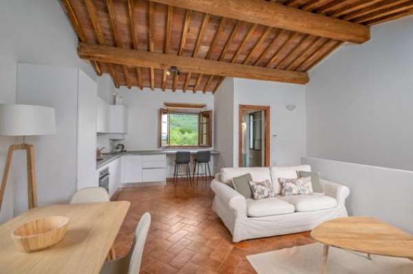 Foto Appartamento in affitto a Vicopisano 65 mq  Rif: 1326660