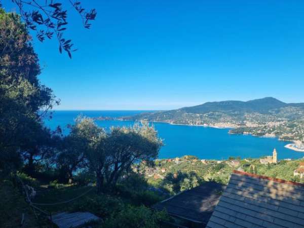 Foto Appartamento in affitto a Zoagli