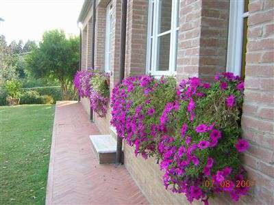 Foto Appartamento in buono stato di 100 mq.