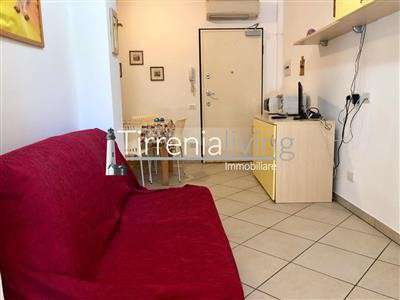 Foto Appartamento in buono stato di 40 mq. a Tirrenia