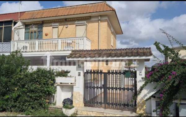 Foto Ardea Tor San Lorenzo Lollia periodo invernale primaverile