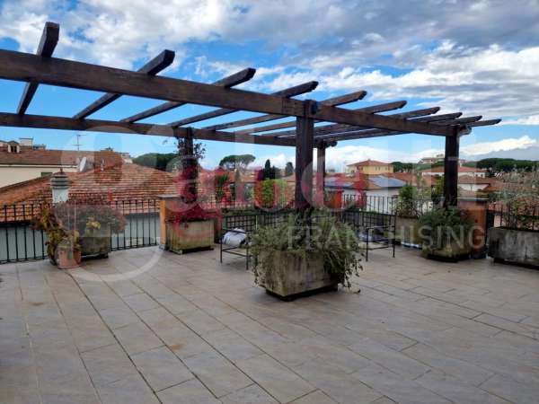 Foto Attico in affitto a Pisa